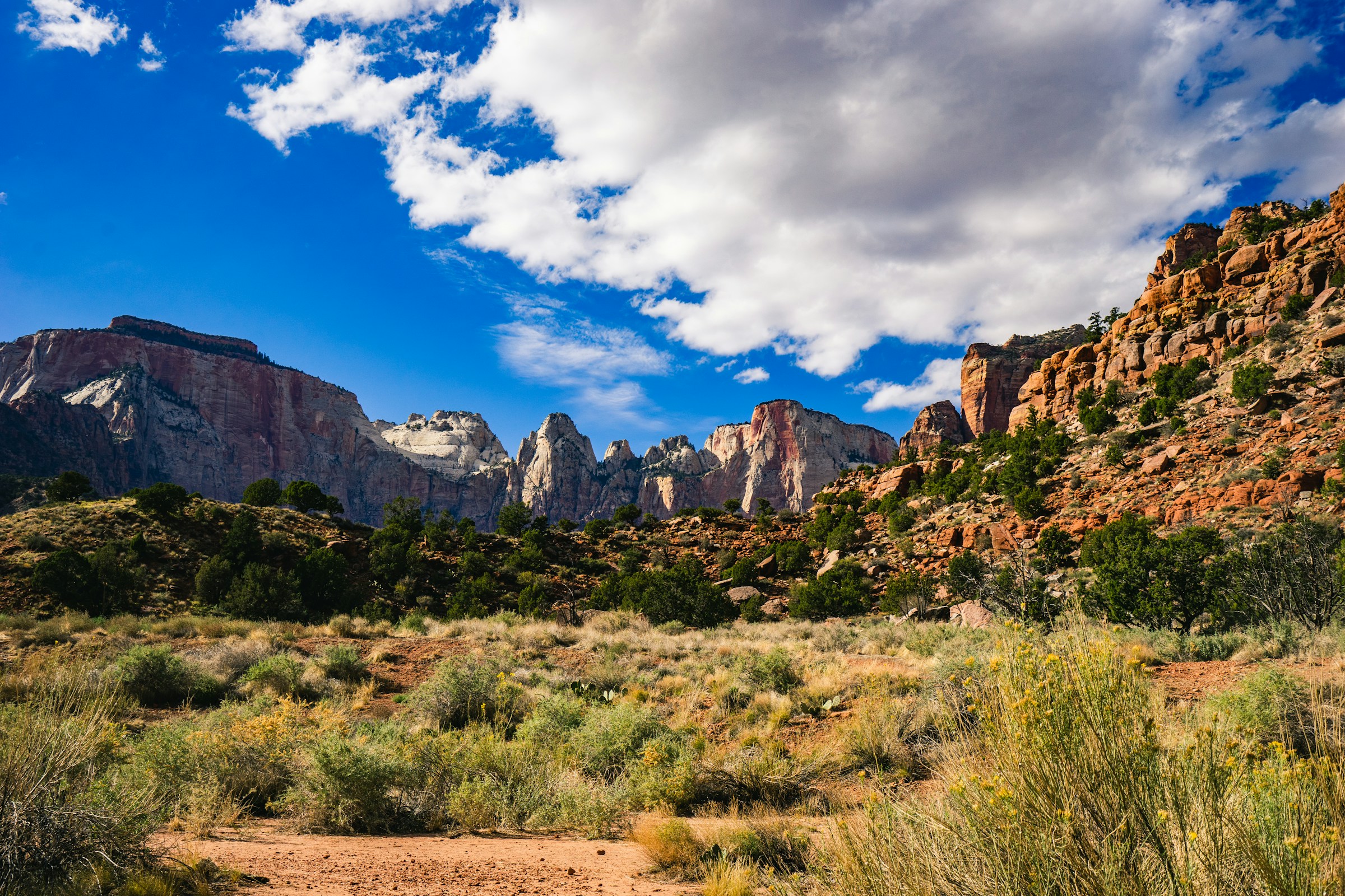 Sandstone cliffs and desert greenery in Zion National Park, Southern Utah